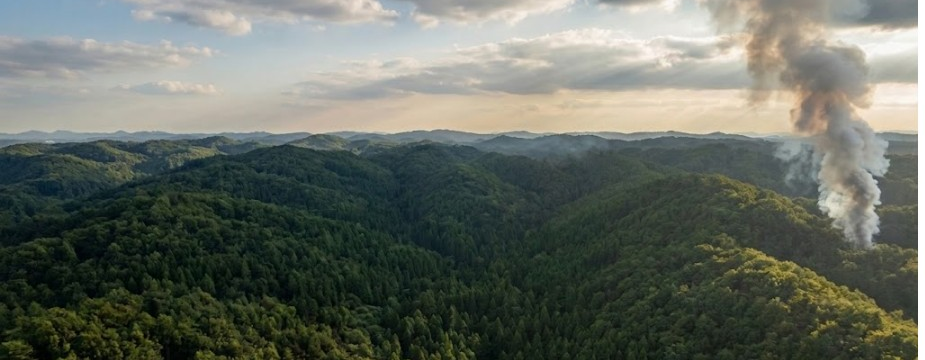 산림에서 발생한 산불의 연기를 감지하는 항공 장면